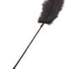 OSTRICH TICKLER - BLACK - OSTRICH TICKLER