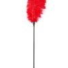 GP LARGE FEATHER TICKLER RED -