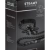 STEAMY SHADES COLLAR, LEASH, NIPPLE CLAMPS -