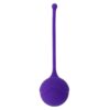 INTENSE KISHA PURPLE ONE FIT SILICONE KEGEL -