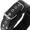 DARKNESS COLLAR W. LEASH TITANIUM -