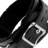 DARKNESS PADDED COLLAR W. LEASH -