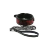 Κολάρο με λουρί Blaze Deluxe Collar & Leash