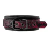 Κολάρο με λουρί Blaze Deluxe Collar & Leash