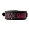Κολάρο με λουρί Blaze Deluxe Collar & Leash