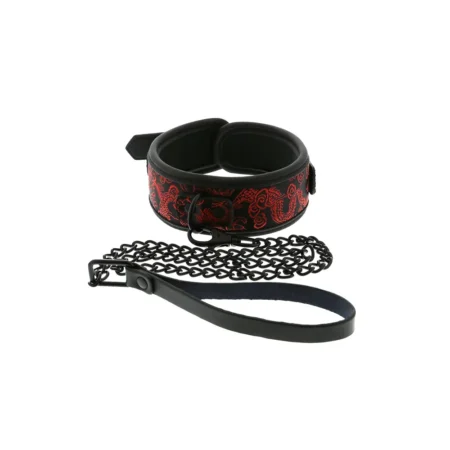 Κολάρο με λουρί Blaze Deluxe Collar & Leash