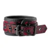 Ποδοπέδες Blaze Deluxe Ankle Cuffs