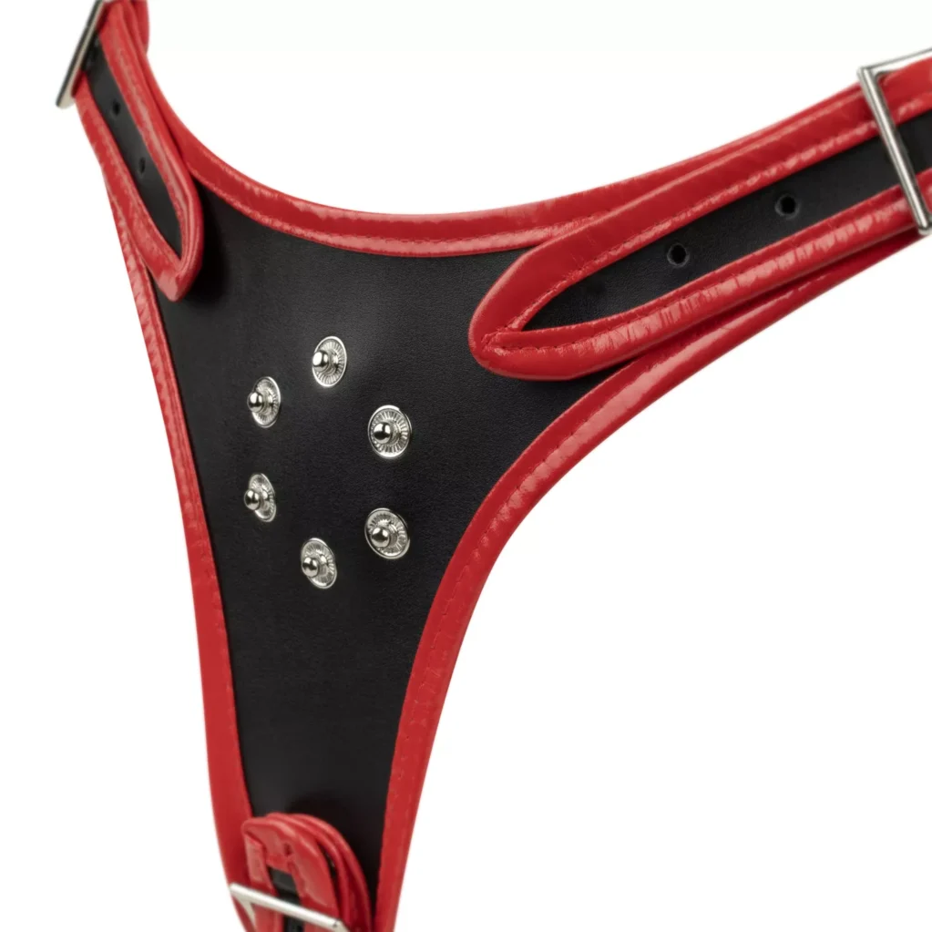 Στραπόν με 3 ομοιώματα Triple Dildo Strap-On Harness Easytoys Fetish Collection