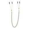Σφιγκτήρες θηλών Nipple Clamps With Chain VIRGITE