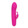 Rabbit δονητής PRETTY LOVE - FLIRTATION VIBRATOR WITH RABBIT CAESAR