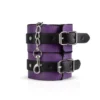 BDSM σετ Secret Pleasure Chest X Bedroom Fantasies - Purple Apprentice