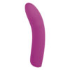 Μικρός δονητής 5 Inch Silicone 10 Function Vibrator Pink NMC